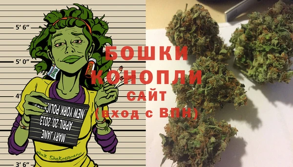 прущие крисы Белокуриха
