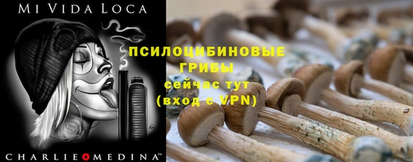 прущие крисы Белокуриха
