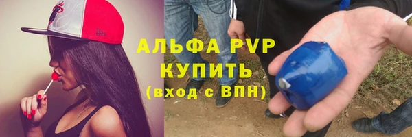 прущие крисы Белокуриха