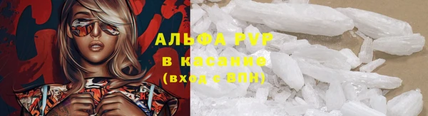 прущие крисы Белокуриха