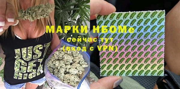 прущие крисы Белокуриха