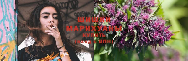 прущие крисы Белокуриха